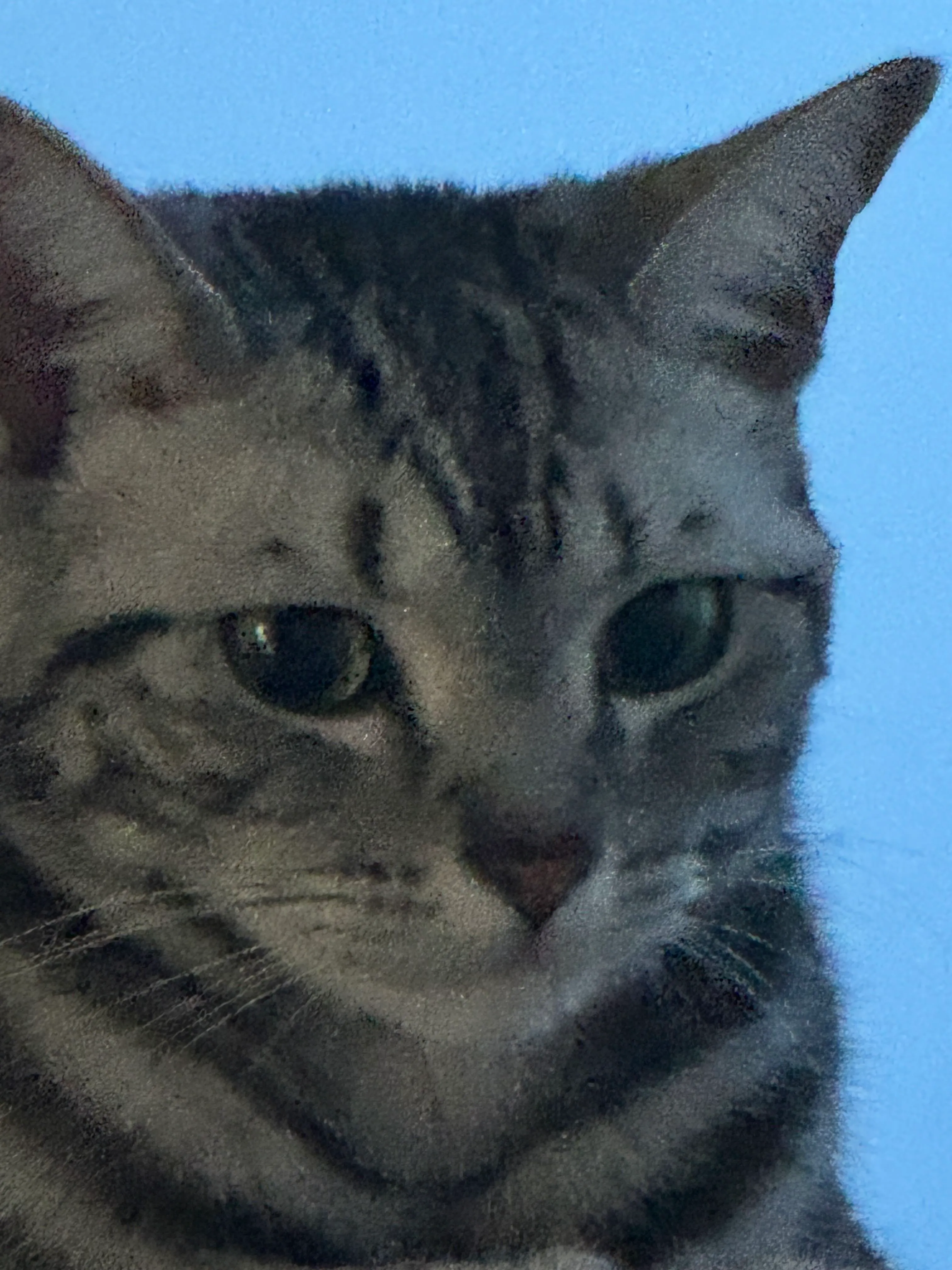 또치